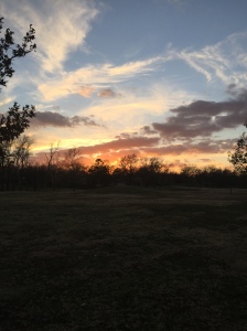 Seen on my run: beautiful Texas sunset